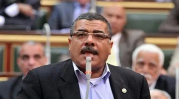 برلماني: دعم الصناعة المحلية أمر حيوي لتحقيق الاكتفاء الذاتي وتحسين الاقتصاد