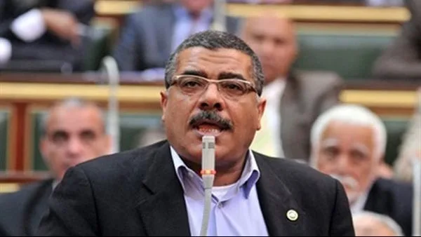برلماني: دعم الصناعة المحلية أمر حيوي لتحقيق الاكتفاء الذاتي وتحسين الاقتصاد