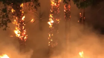 نيران تلتهم هيش ونخيل في كورنيش مصر القديمة والجهات المعنية تسيطر على الحريق قبل أن يصل إلى المراكب