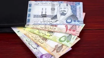 سعر الريال السعودي في البنوك المصرية بتاريخ الثلاثاء 20 مايو 2025