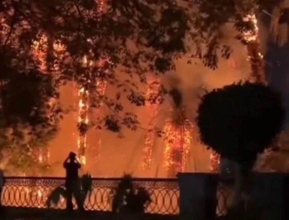 «النيران اشتعلت في الأشجار».. ما الذي أدى إلى حريق كورنيش المنيل في المعادي؟ «النيران اشتعلت في الأشجار».. ما الذي أدى إلى حريق كورنيش المنيل في المعادي؟