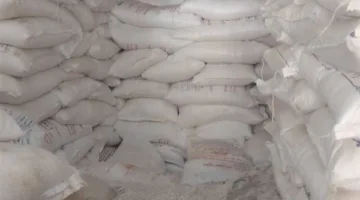 صحة القليوبية تحجز طنَيْن من ملح الطعام غير المطابق للمواصفات في شبين القناطر