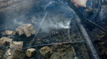 نفوق بعض الحيوانات واندلاع حريق في أربعة منازل بقنا