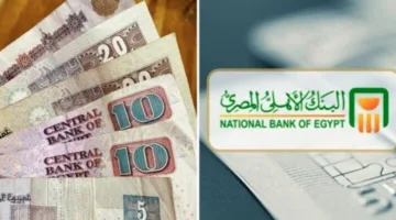 ما هي أعلى نسبة عائد لشهادات الادخار البلاتينية في البنك الأهلي المصري؟