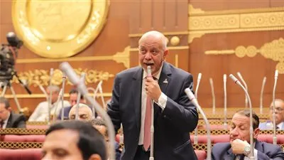 النائب حازم الجندي يقدم اقتراحًا لإنشاء منطقة حرة لدعم الصناعات الصغيرة والمغذية للمصريين في الخارج. النائب حازم الجندي يقدم اقتراحًا لإنشاء منطقة حرة لدعم الصناعات الصغيرة والمغذية للمصريين في الخارج.