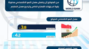 البنك الدولي يبرز أهمية القطاع الخاص في دعم نمو الاقتصاد المصري في المستقبل القريب