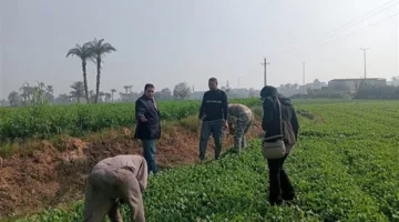 إرشادات زراعية للمزارعين للتكيف مع حالات الحرارة الشديدة