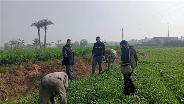 إرشادات زراعية للمزارعين للتكيف مع حالات الحرارة الشديدة إرشادات زراعية للمزارعين للتكيف مع حالات الحرارة الشديدة