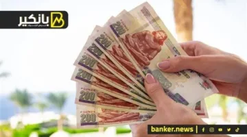 ودائع بالجنيه المصري بعوائد جذابة: الخيار الأمثل للادخار