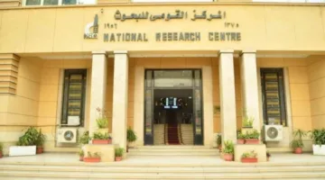 المعهد القومي للبحوث ينصح الطلاب: احذروا المذاكرة بعد تناول الأطعمة الغنية بالدهون والسعرات العالية.