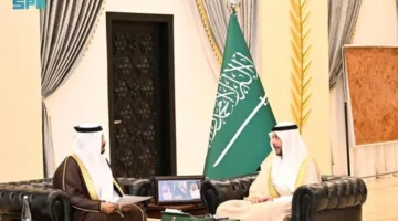 محافظ الطائف يلتقي مدير فرع هيئة التراث في المحافظة