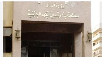 إدخال الأم المشتبه بها في قتل طفلها إلى مستشفى للأمراض النفسية في المنوفية