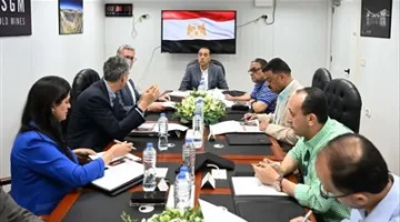 رئيس الحكومة يلتقي بالمدير التنفيذي لشركة «أنجلو جولد أشانتي»