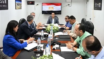 رئيس الحكومة يلتقي بالمدير التنفيذي لشركة «أنجلو جولد أشانتي»