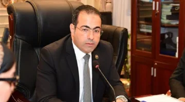 رئيس شباب المصريين في الخارج: الحكومة تمكنت من التصدي للهجرة غير الشرعية
