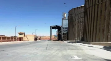 نتائج حصاد القمح: توريد 266 ألف طن في أسوان بنسبة إنجاز 54.4% من الهدف المحدد