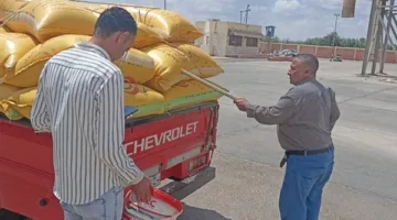 توريد 162 ألف طن من القمح إلى خزانات وصوامع البحيرة