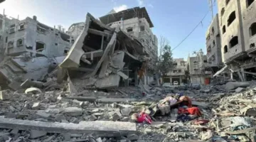 زيادة عدد الشهداء في قطاع غزة ليصبح أكثر من 53 ألفاً