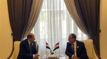 وزير الخارجية: استقرار اليمن يعزز الأمن الإقليمي في منطقة البحر الأحمر