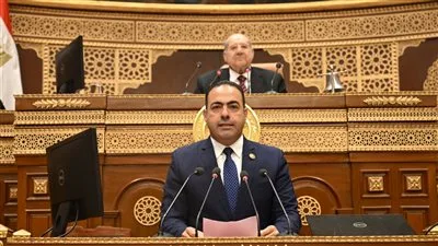 رئيس لجنة الشباب في البرلمان: مصر حافظت على دورها كصوت قوي يعبر عن تطلعات شعوب الجنوب في الأمم المتحدة