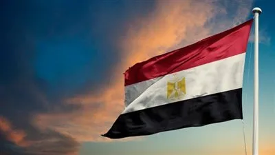 نائبة: بيان وزارة الخارجية يمثل رسالة سياسية مؤثرة ويعكس التزام مصر بمبادئها تجاه فلسطين. نائبة: بيان وزارة الخارجية يمثل رسالة سياسية مؤثرة ويعكس التزام مصر بمبادئها تجاه فلسطين.