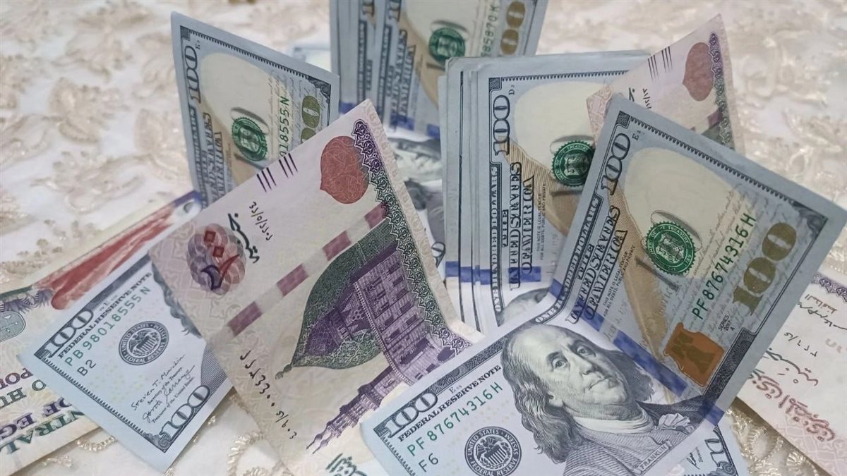 سعر الدولار