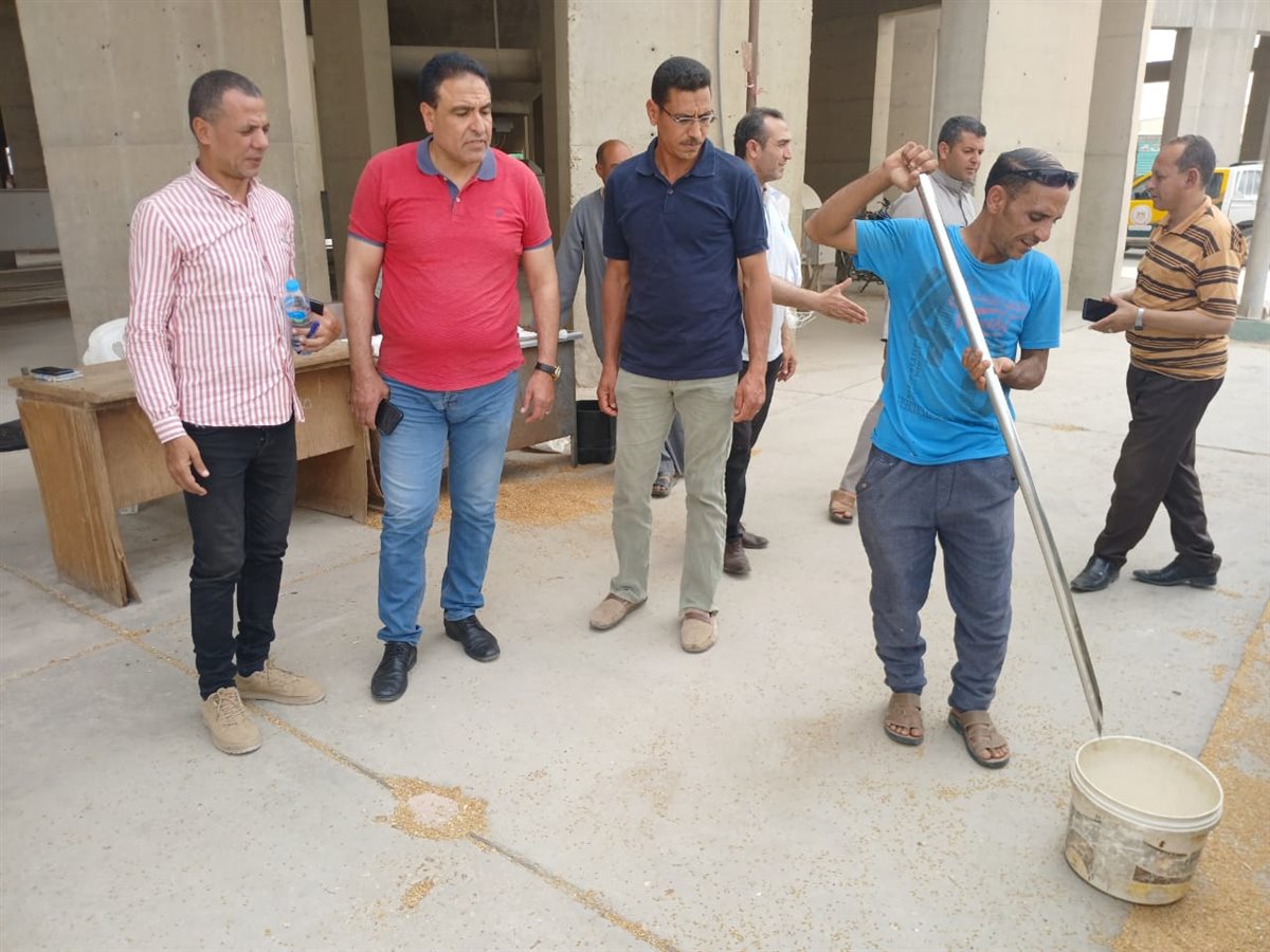وكيل تموين الفيوم: توريد 146 ألف طن قمح وسط حالة من التفاؤل بين المزارعين