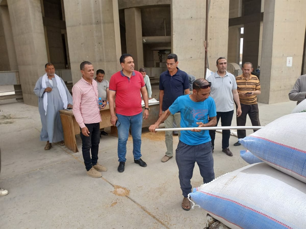 وكيل تموين الفيوم: توريد 146 ألف طن قمح وسط حالة من التفاؤل بين المزارعين