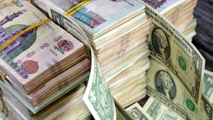 سعر الدولار