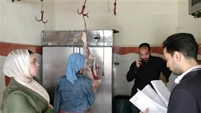 مصادرة 500 كجم من الأسماك واللحوم غير المعروفة المصدر في كفر الشيخ مصادرة 500 كجم من الأسماك واللحوم غير المعروفة المصدر في كفر الشيخ