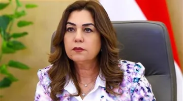 التنمية المحلية: تنفيذ 4161 عملية لإزالة المخالفات في جميع المحافظات، مما يُظهر التزاماً جاداً في مواجهة التعديات.