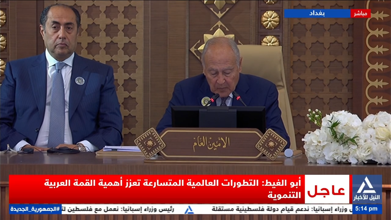 أبو الغيط