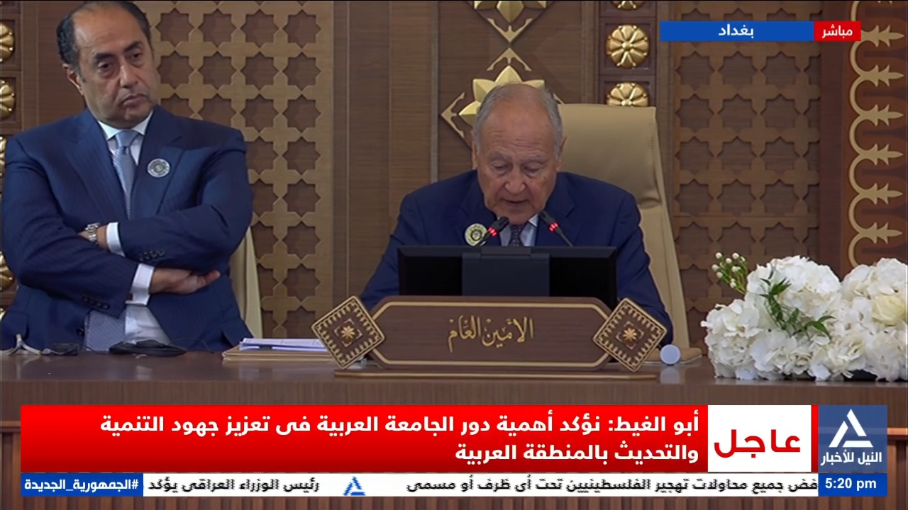 أبو الغيط