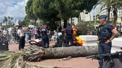 حوادث “كان 2025”: سقوط نخلة على رأس منتج وهجوم نحلة على إيما ستون حوادث “كان 2025”: سقوط نخلة على رأس منتج وهجوم نحلة على إيما ستون