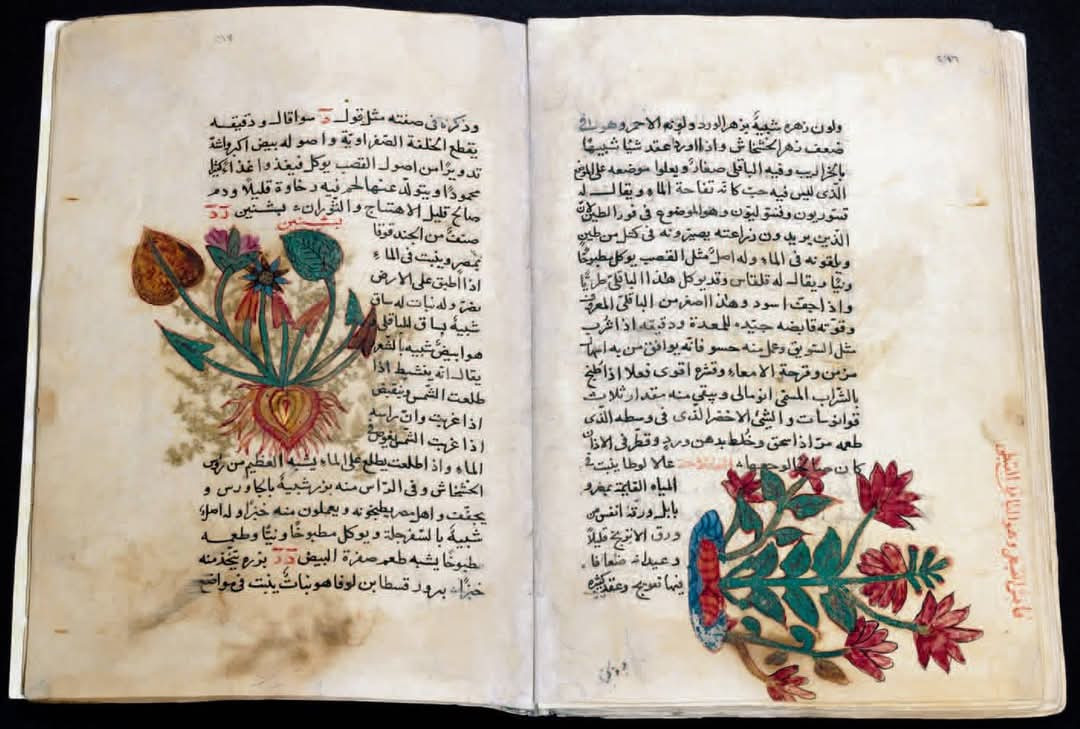 السياحة والاثار