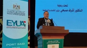«ليسوا مجرد مصدر مالي».. اتحاد شباب المصريين: تغيير في موقف الدولة نحو أبنائنا في الخارج.. والسيسي يوليهم اهتمامًا غير مسبوق