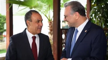 وزير الخارجية: رصدنا 100 مليون دولار لدعم المشاريع التنموية في دول حوض النيل الجنوبي