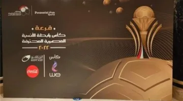 على الرغم من طلبات بعض الأندية، رابطة الأندية المحترفة ترفض إلغاء نظام الهبوط في الدوري الممتاز وتتمسك باستمراره.