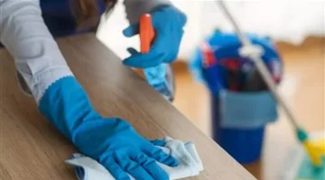بعد استبعاده من قانون العمل الجديد.. أحدث مستجدات مشروع العمالة المنزلية