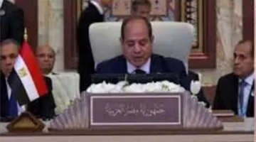 أستاذة في العلوم السياسية: الرئيس السيسي يسعى لتذكير العالم بضرورة مواجهة الإرهاب.