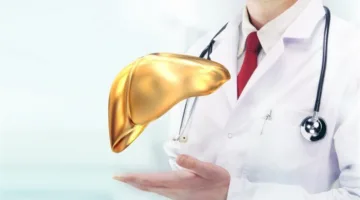 الكشف عن المخاطر المباشرة لاستخدام بدائل السكر على صحة الكبد