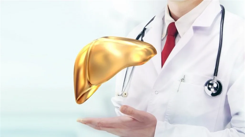 الكشف عن المخاطر المباشرة لاستخدام بدائل السكر على صحة الكبد الكشف عن المخاطر المباشرة لاستخدام بدائل السكر على صحة الكبد