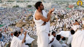 علي جمعة يوضح محرمات يجب على المسلم تجنبها أثناء الإحرام