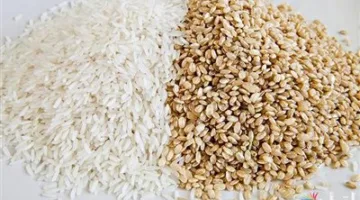 ما هي أسعار الطن؟.. أسعار الأرز والسلع الأساسية في الأسواق المصرية اليوم الإثنين 19 مايو