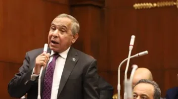 النائب طارق رسلان: الرئيس السيسي يدعو إلى جذب الاستثمارات الدولية ويجب تشجيع المستثمرين على الاستثمار في مصر