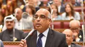 وزير العدل في مجلس الشيوخ: «التحكيم في قضايا الأسرة يبدأ بالزغاريد وينتهي بالمشاحنات والاشتباكات وإطلاق النار»..صور