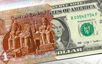 الجنيه المصري يرتفع أمام الدولار 3% في 40 يوما.. تعرف على الأسباب