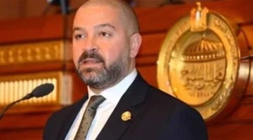 أحمد دياب: الهيئات الرقابية تراقب ميزانيات الأندية.. والمادة 63 لا تعيق المراجعة القضائية، والحديث عن وقف النشاط الرياضي غير مقبول.