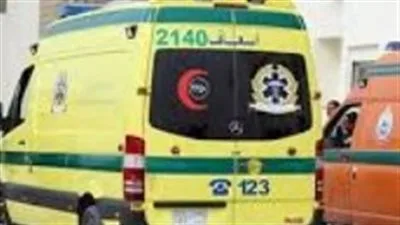 مقتل شخص وإصابة آخر في انقلاب سيارة نقل على محور 30 يونيو بالإسماعيلية مقتل شخص وإصابة آخر في انقلاب سيارة نقل على محور 30 يونيو بالإسماعيلية