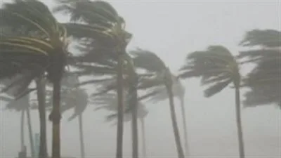 رياح محملة بالرمال… الأرصاد تصدر تحذيراً عاجلاً بشأن حالة الطقس القادمة. رياح محملة بالرمال… الأرصاد تصدر تحذيراً عاجلاً بشأن حالة الطقس القادمة.